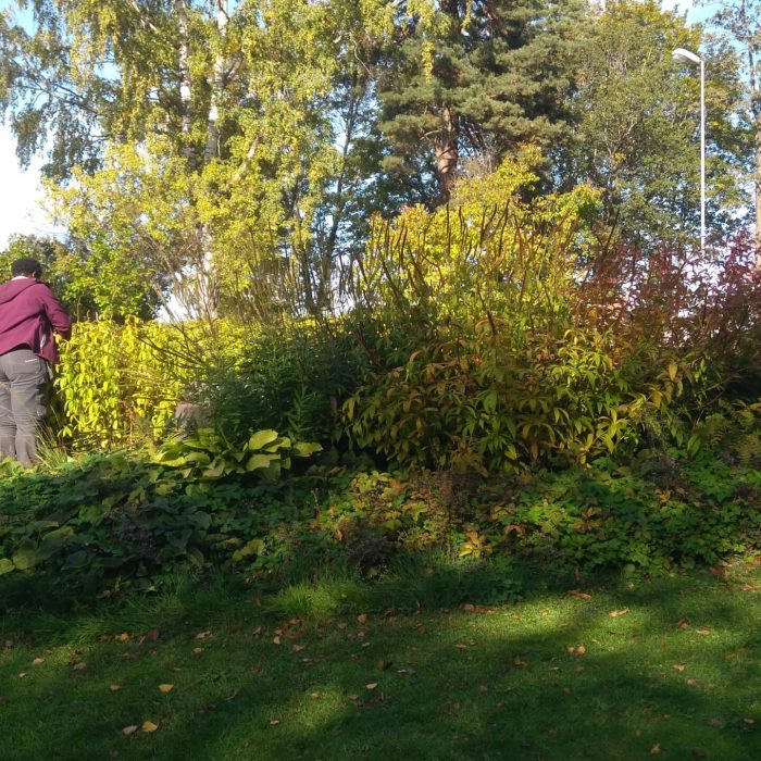 Joelsträdgård - Höst städning i Sollentuna