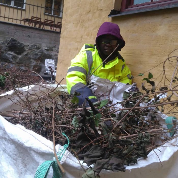 Joelsträdgård - Bortforsling av grenar och ris från innergård i stockholm